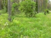 DSCN4821