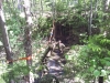 20150612_114445