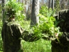 Riigikaitselaager 10-12.06.2015 110