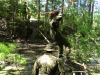 Riigikaitselaager 10-12.06.2015 339