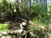 Riigikaitselaager 10-12.06.2015 340