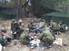 image-33