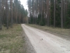 20150425_172139.jpg